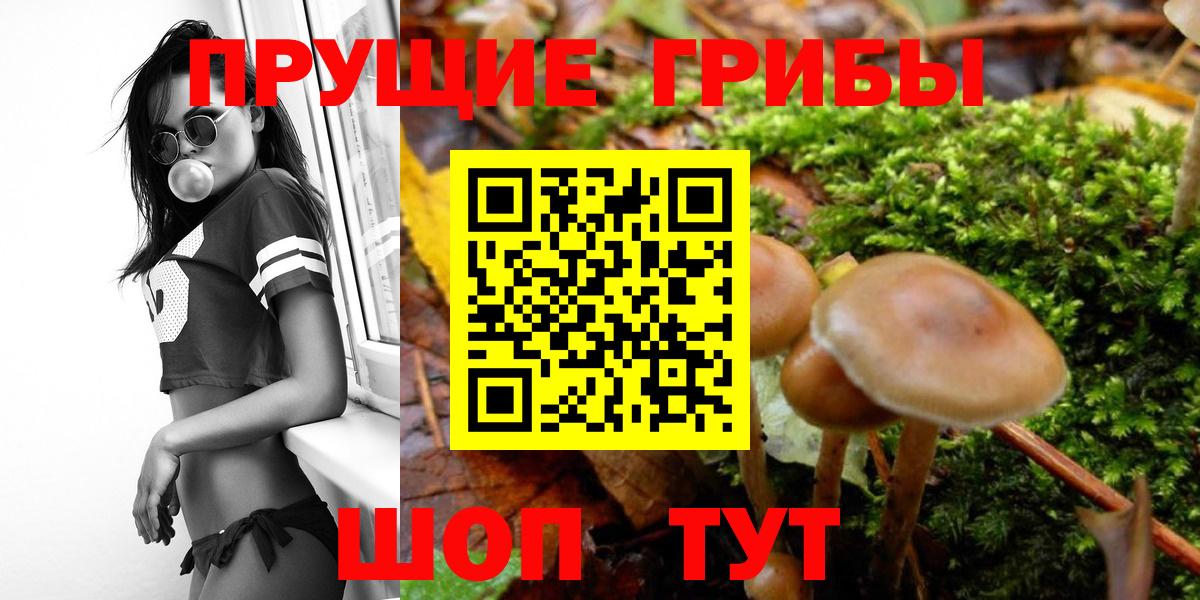Псилоцибиновые грибы мицелий  Вход с VPN  Галлюциногенные грибы Psilocybe  Урай 