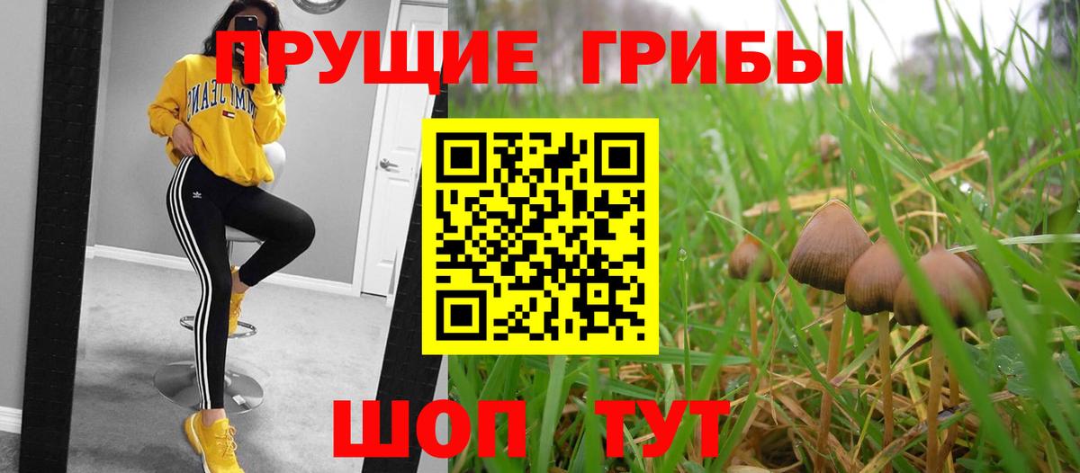 Галлюциногенные грибы мицелий Урай